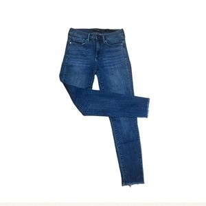 Banana Republic Premium Denim Skinny